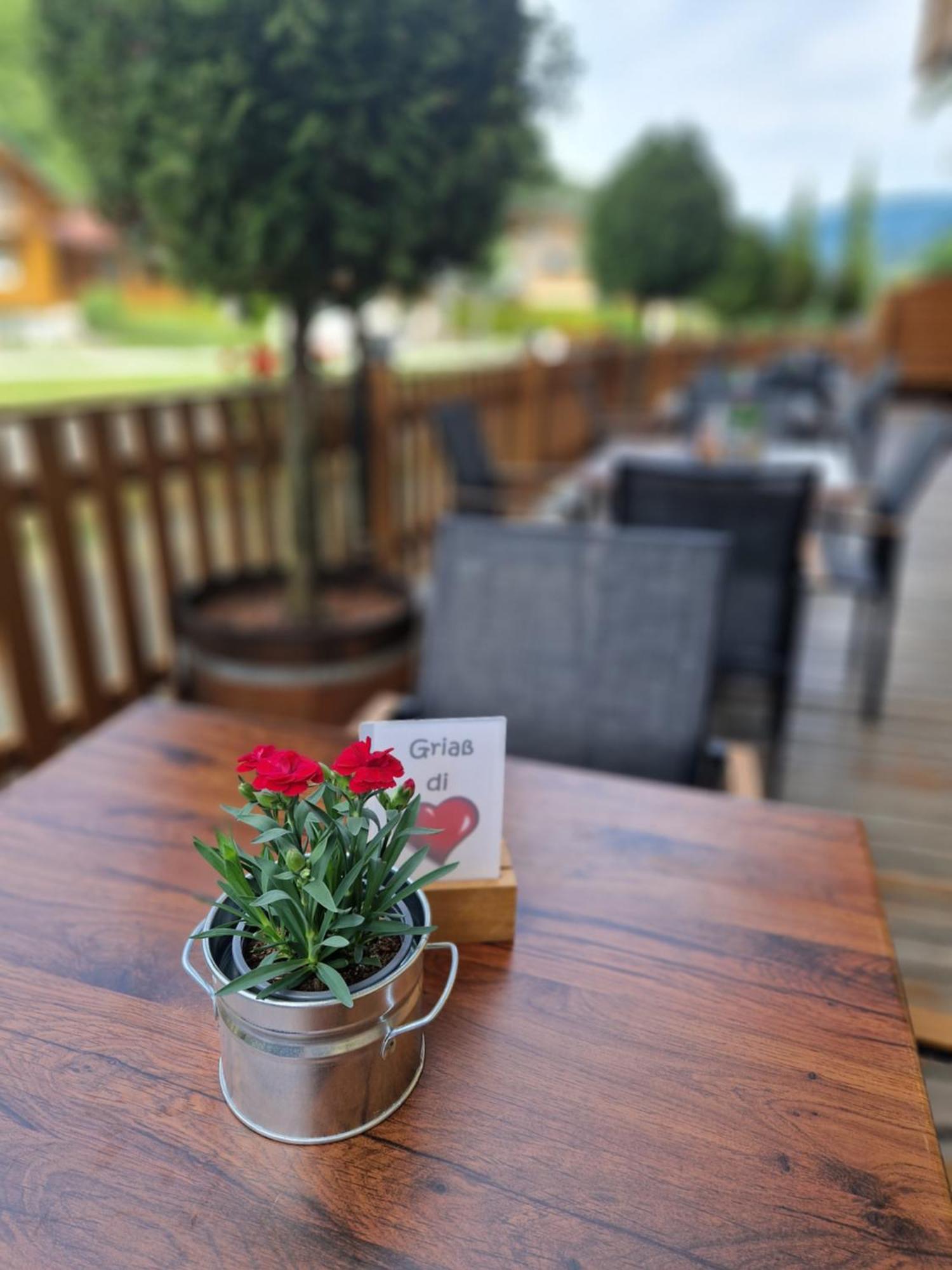 Sporthotel Dachstein West Annaberg im Lammertal Ngoại thất bức ảnh